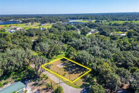 Land in Dover, Florida № 2393902 - photo 12