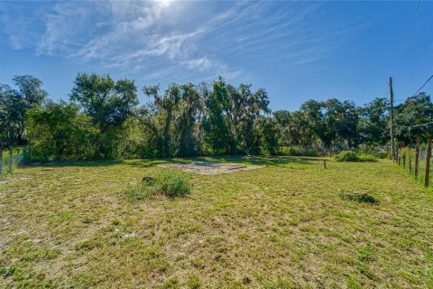 Land in Dover, Florida № 2393902 - photo 8