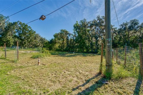 Land in Dover, Florida № 2393902 - photo 3