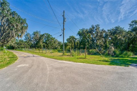 Land in Dover, Florida № 2393902 - photo 10