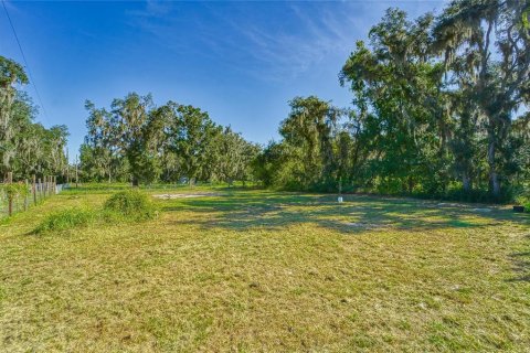Land in Dover, Florida № 2393902 - photo 4