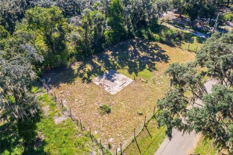 Land in Dover, Florida № 2393902 - photo 21