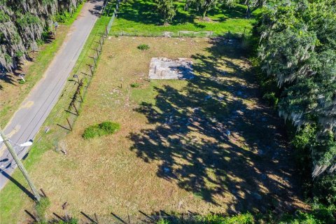 Land in Dover, Florida № 2393902 - photo 18
