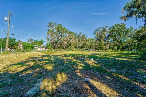 Land in Dover, Florida № 2393902 - photo 5