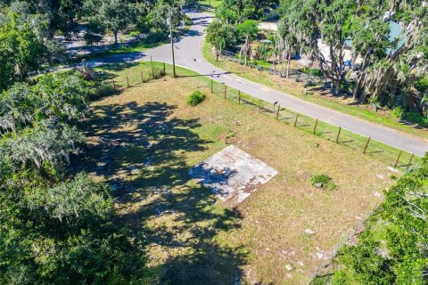 Land in Dover, Florida № 2393902 - photo 22