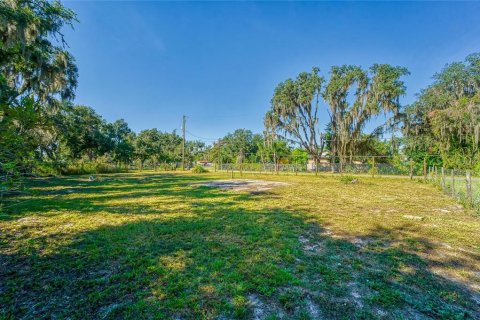 Land in Dover, Florida № 2393902 - photo 7