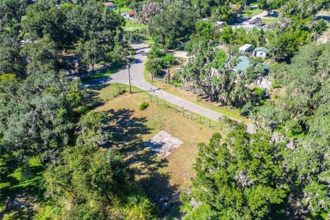 Land in Dover, Florida № 2393902 - photo 15