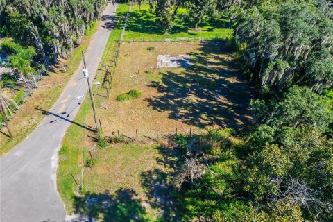Land in Dover, Florida № 2393902 - photo 16