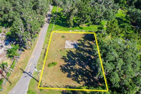Land in Dover, Florida № 2393902 - photo 19