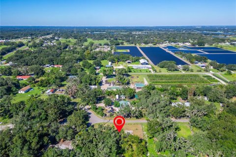 Land in Dover, Florida № 2393902 - photo 29