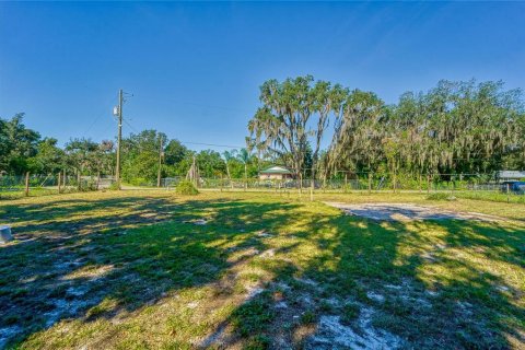 Land in Dover, Florida № 2393902 - photo 6