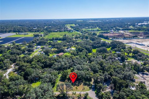 Land in Dover, Florida № 2393902 - photo 26