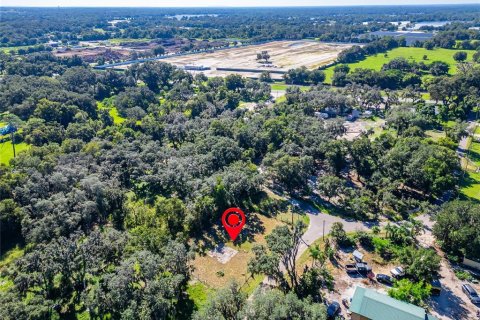 Land in Dover, Florida № 2393902 - photo 27