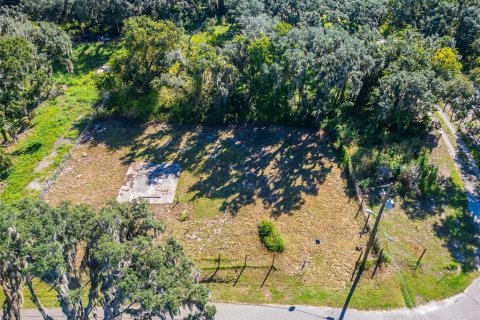 Land in Dover, Florida № 2393902 - photo 20