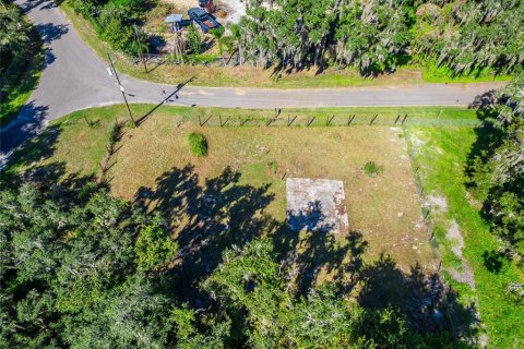 Land in Dover, Florida № 2393902 - photo 14