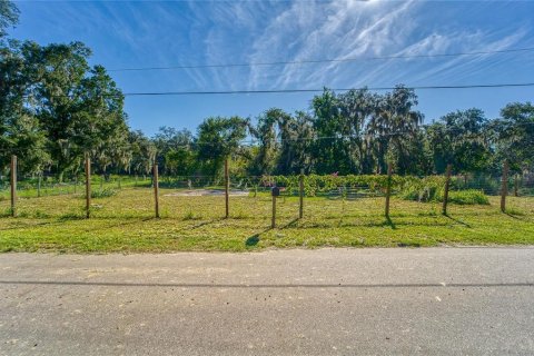 Land in Dover, Florida № 2393902 - photo 2