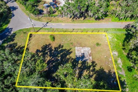 Land in Dover, Florida № 2393902 - photo 13