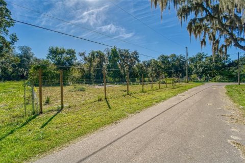 Land in Dover, Florida № 2393902