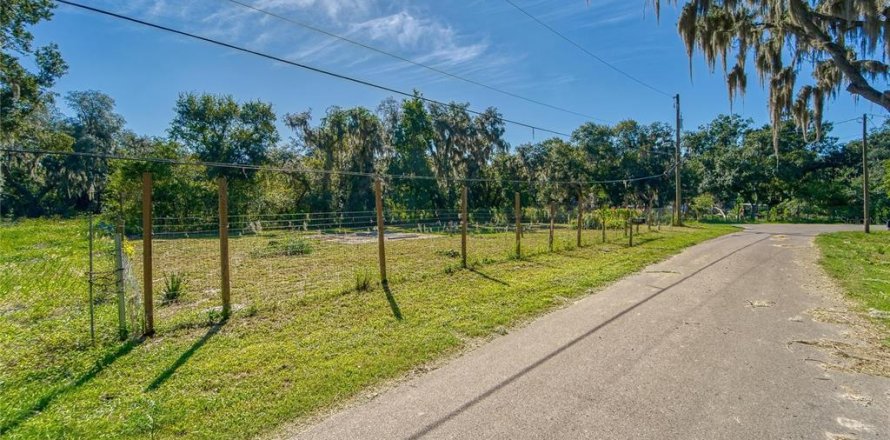 Land in Dover, Florida № 2393902