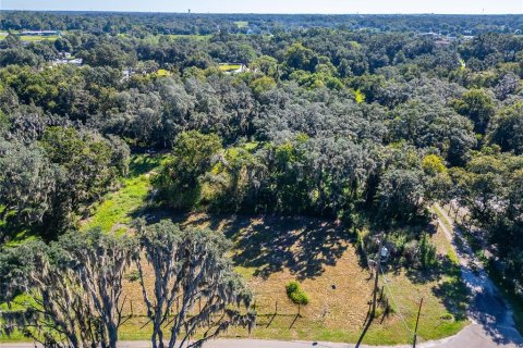 Land in Dover, Florida № 2393902 - photo 24