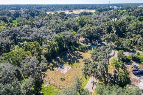 Land in Dover, Florida № 2393902 - photo 23