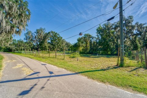 Land in Dover, Florida № 2393902 - photo 9