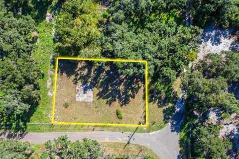 Land in Dover, Florida № 2393902 - photo 17