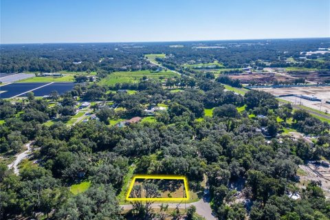 Land in Dover, Florida № 2393902 - photo 25