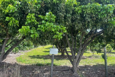 Immobilier commercial à vendre à Homestead, Floride № 2058364 - photo 16