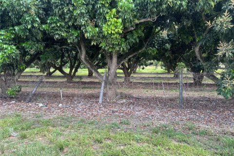 Immobilier commercial à vendre à Homestead, Floride № 2058364 - photo 11