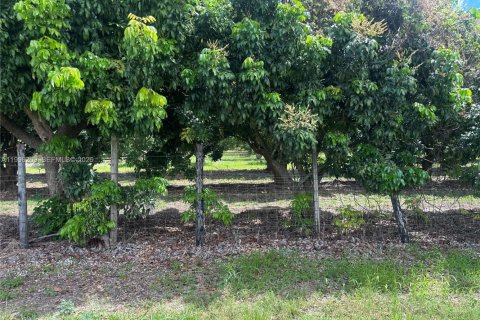 Immobilier commercial à vendre à Homestead, Floride № 2058364 - photo 12