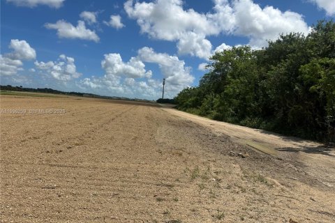 Immobilier commercial à vendre à Homestead, Floride № 2058364 - photo 17