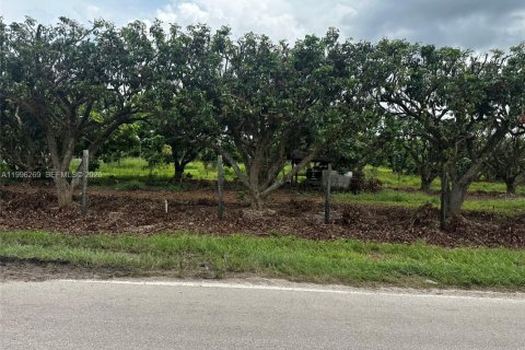 Immobilier commercial à vendre à Homestead, Floride № 2058364 - photo 2