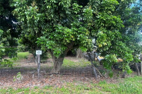 Immobilier commercial à vendre à Homestead, Floride № 2058364 - photo 6