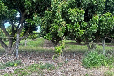 Immobilier commercial à vendre à Homestead, Floride № 2058364 - photo 8