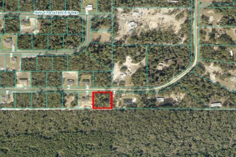 Terreno en venta en Ocala, Florida № 1554830 - foto 1