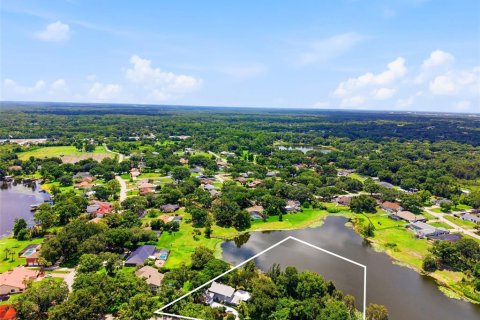 Casa en venta en Lutz, Florida, 5 dormitorios, 361.3 m2 № 2238915 - foto 5