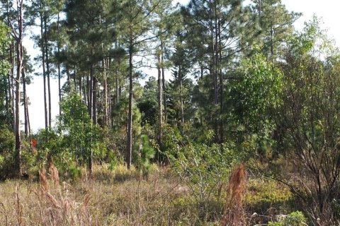 Land in Loxahatchee Groves, Florida № 1040728 - photo 1