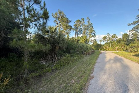 Terrain à vendre à North Port, Floride № 2212899 - photo 6