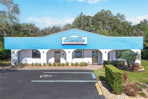 Commercial property in Tavares, Florida 345.69 sq.m. № 1568459 - photo 1