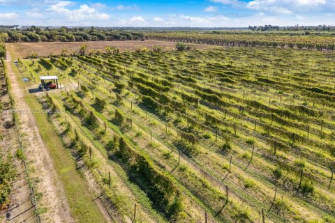 Купить коммерческую недвижимость в Флорида-Сити, Флорида № 2054577 - фото 8