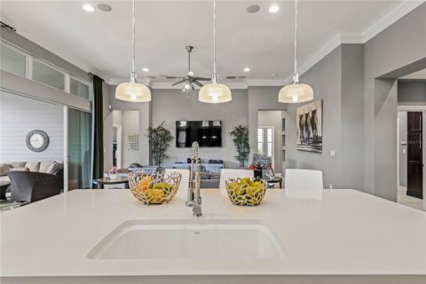 Villa ou maison à vendre à Fish Hawk, Floride: 4 chambres, 309.83 m2 № 1576417 - photo 21