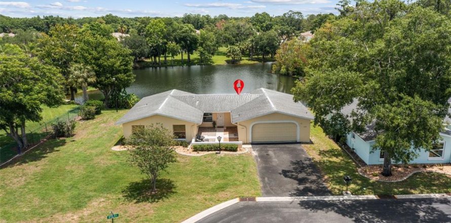 Condo in New Port Richey, Florida, 1 bedroom  № 2091650