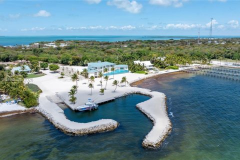 Casa en venta en Tavernier, Florida, 5 dormitorios, 761.8 m2 № 2171306 - foto 2