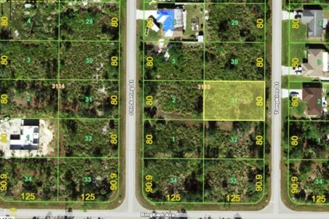 Land in Port Charlotte, Florida № 2159772