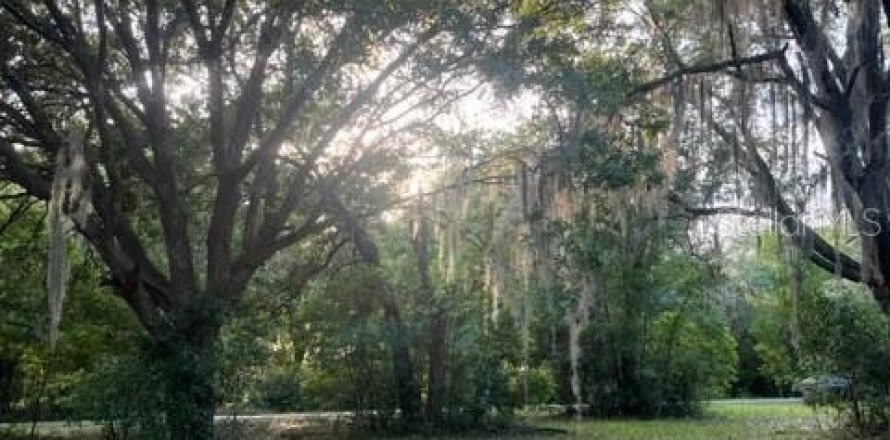 Terrain à Jacksonville, Floride № 768421