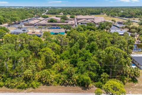 Land in Port Charlotte, Florida № 2166180 - photo 8