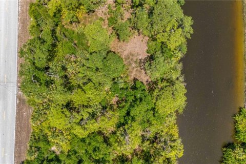 Land in Port Charlotte, Florida № 2166180 - photo 2