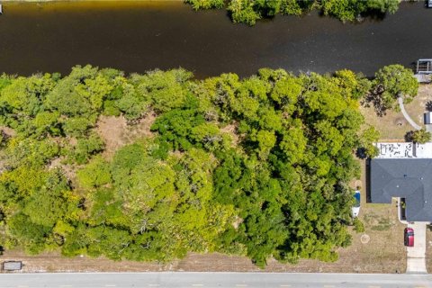 Land in Port Charlotte, Florida № 2166180 - photo 7
