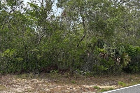Land in Weeki Wachee, Florida № 1684440 - photo 2